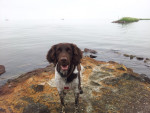 Floris